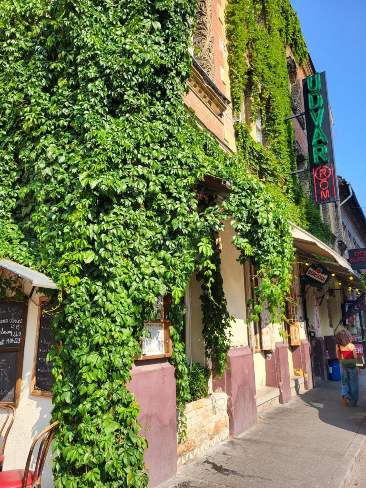 Budapest Party Hostel At Udvarom — Photos 3